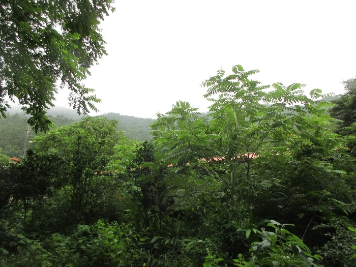 본건