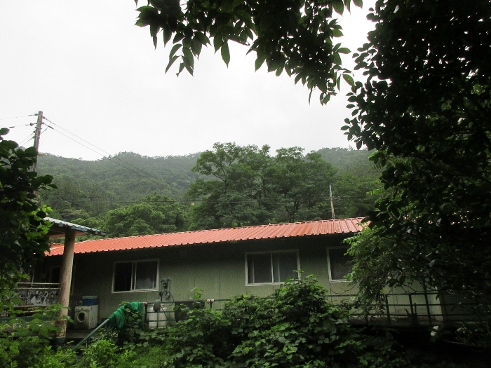 본건