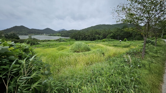 본건 전경