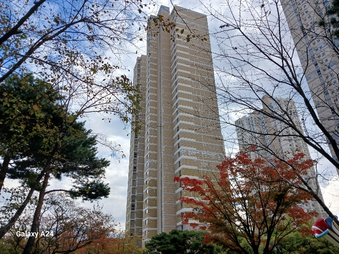 본건