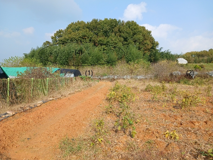 임야(4)