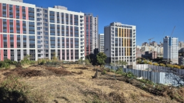 586번지