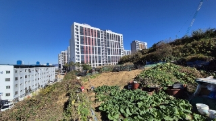 584-1번지