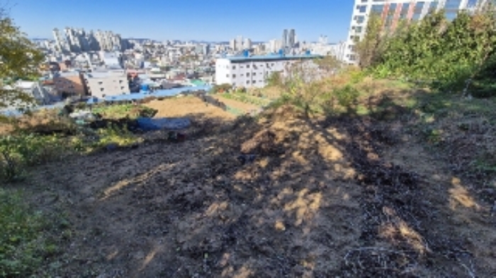 584-2번지