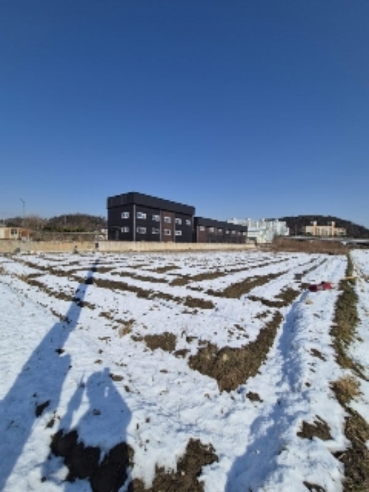 2024타경88137