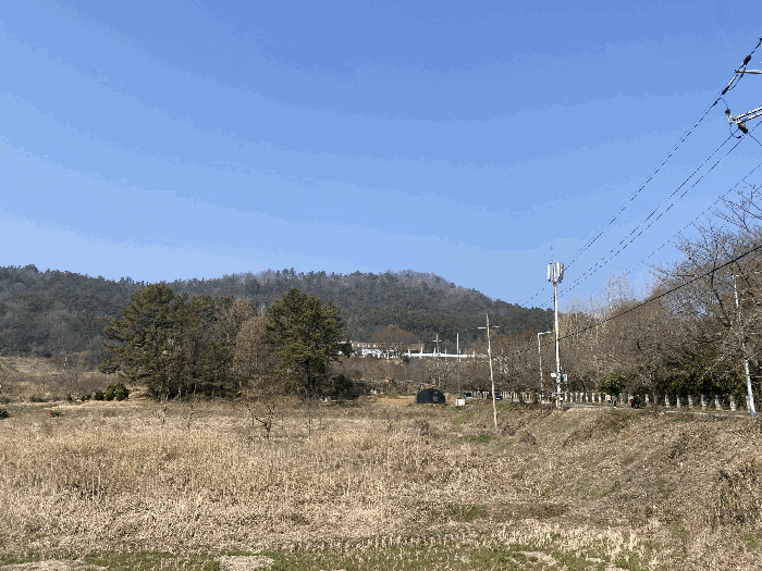 본건 주위전경