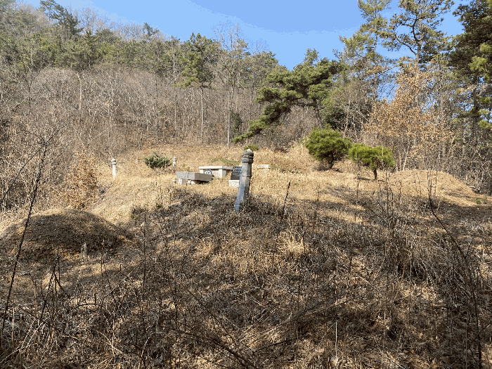 본건 지상의 분묘