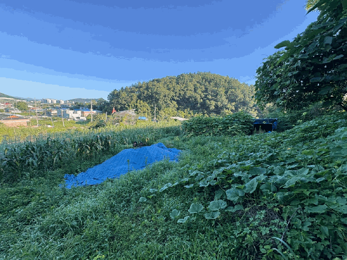 2025타경4556[2]