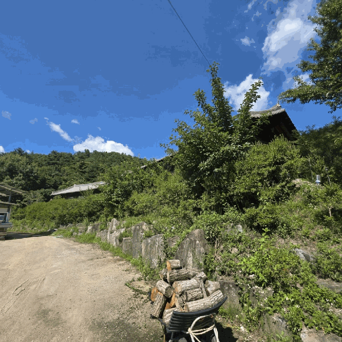 수목 및 조경석