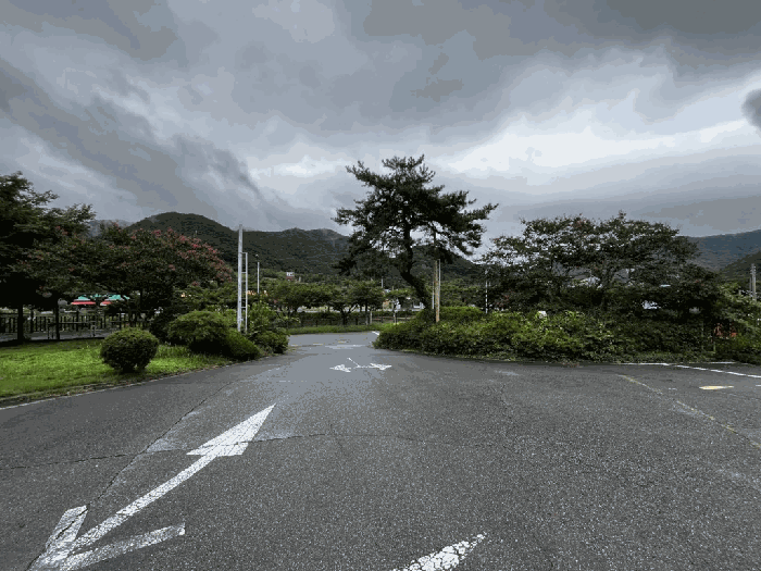 본건 지상 소재 수목 및 철구조물