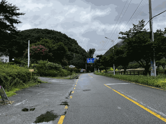 본건 인접 도로