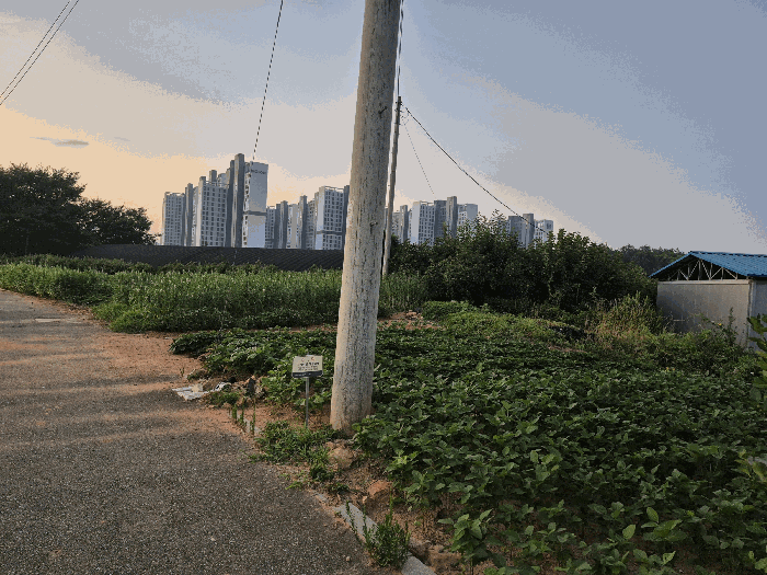 본건(서측에서 촬영)
