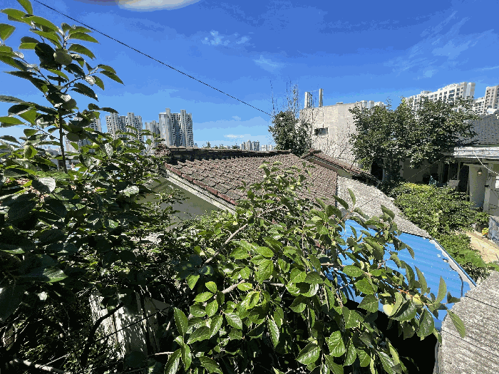 【 일련번호 1 】