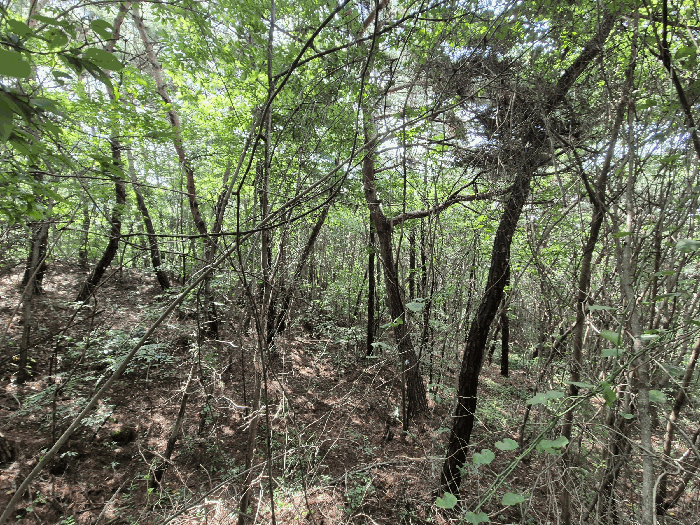 본건 기호2) 전경