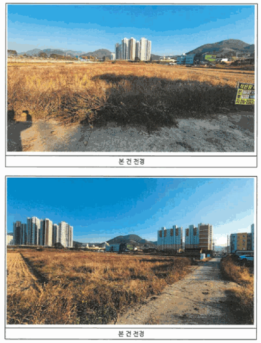 2025타경7036