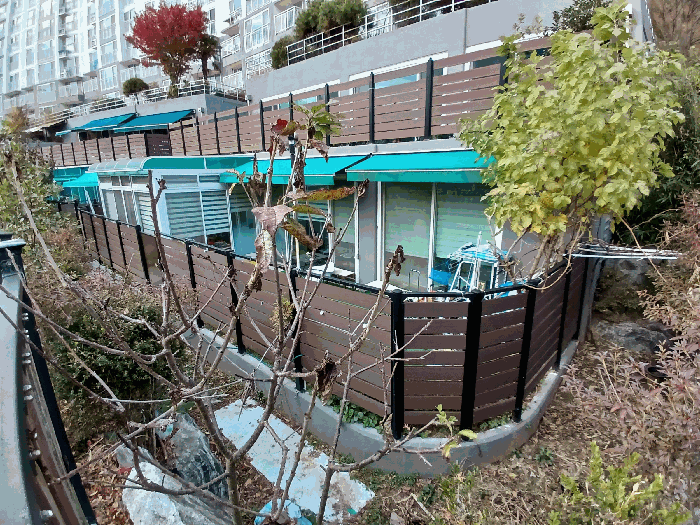 본건