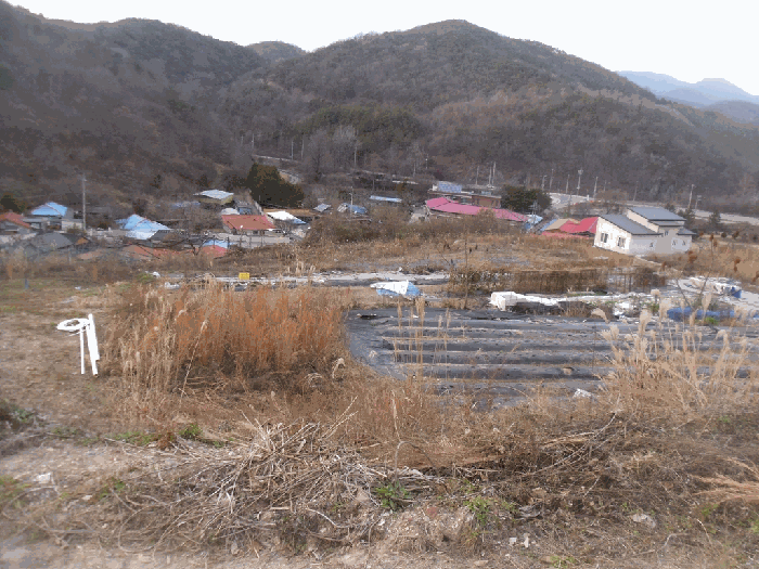 일련번호(2)