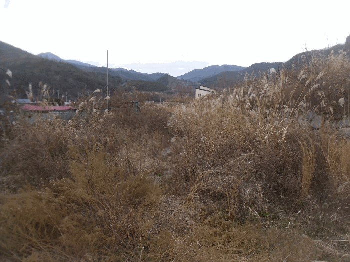 일련번호(3)