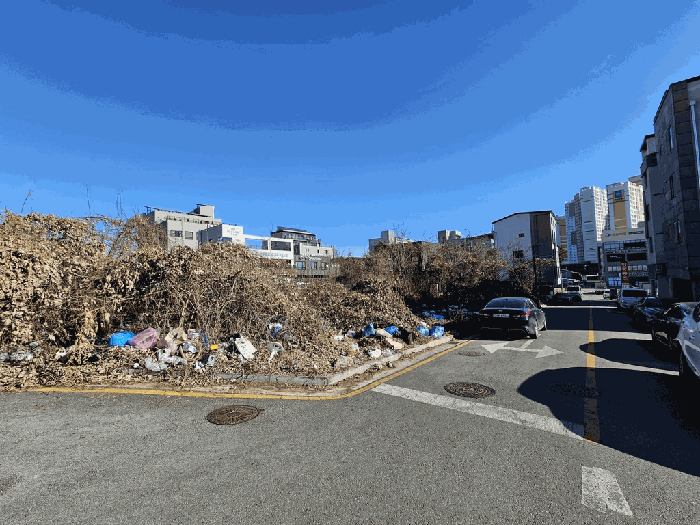 본건 전경