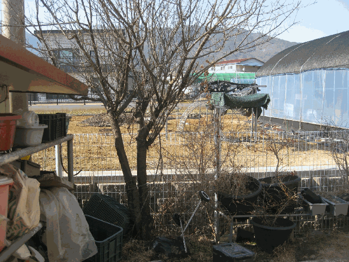 2025타경32004