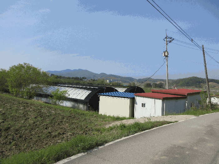본건 전경