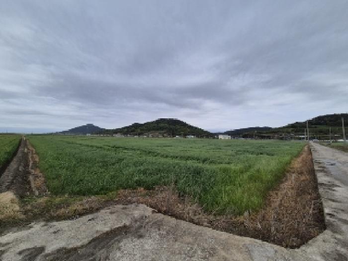 염산면 봉남리 1178-2