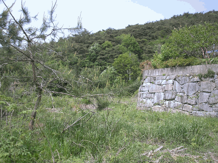 본건 기호(1) 남서측 인근 촬영2