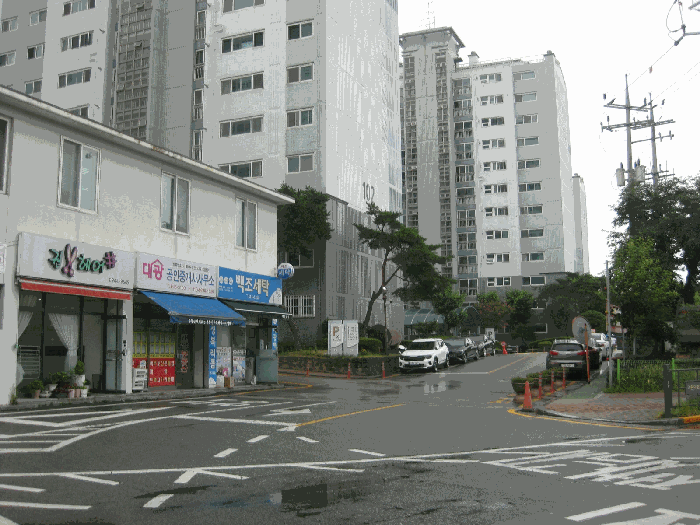 단지 전경