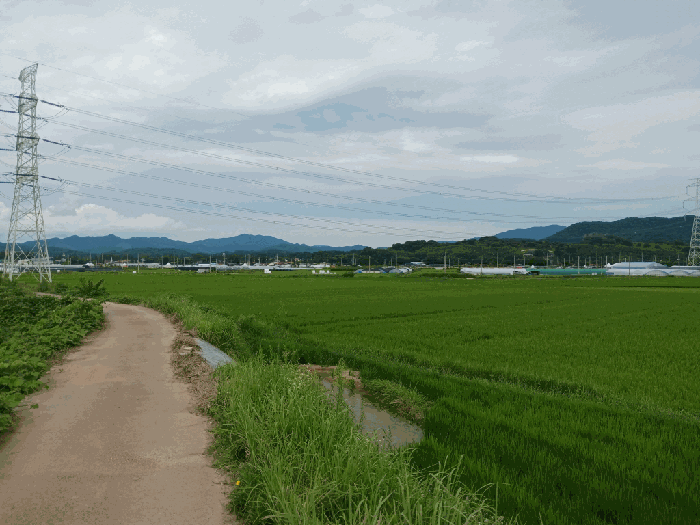 본건전경
