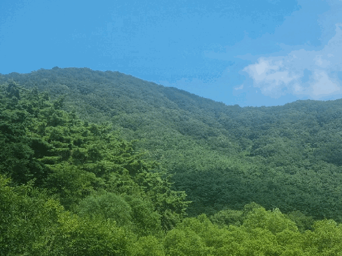 본건