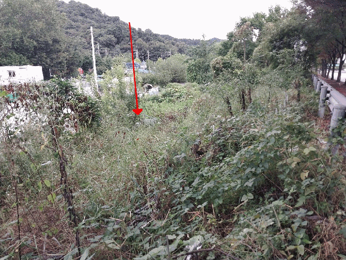 2025타경33899