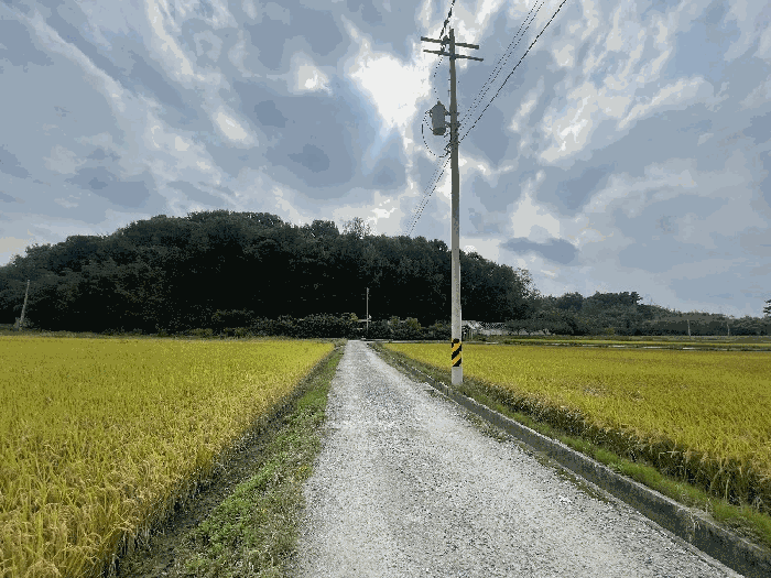 2025타경33959[2]