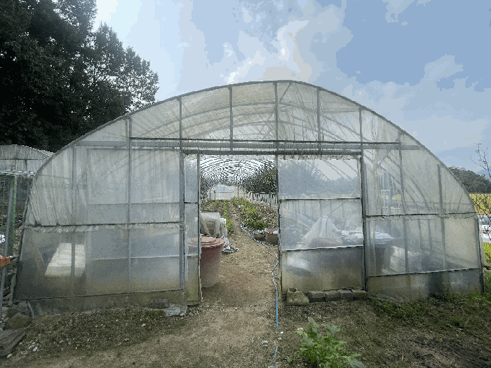 2025타경33959[2]