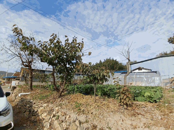 일련번호 1) 지상수목