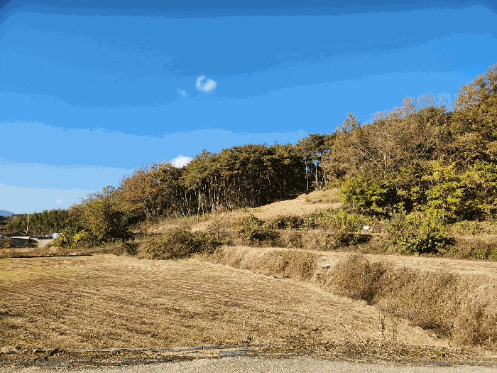1) - 남동측