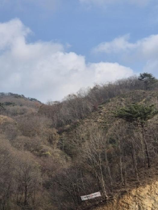 2025타경34313[2]