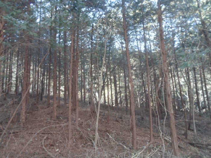 2025타경34313[2]