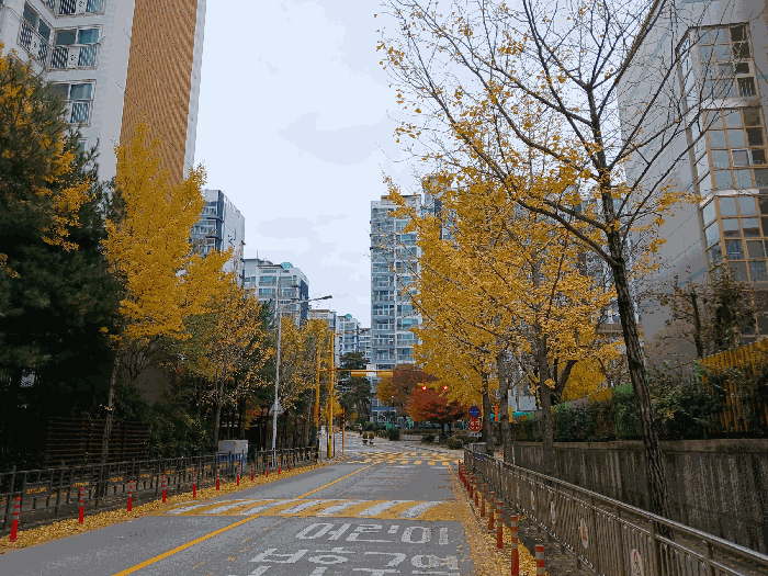 단지 전경 (입구)