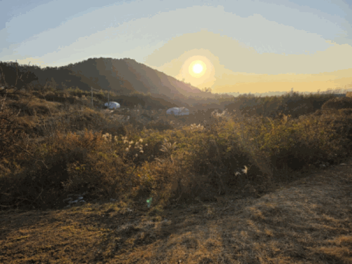 일련번호 3)