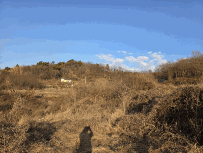 일련번호 1)