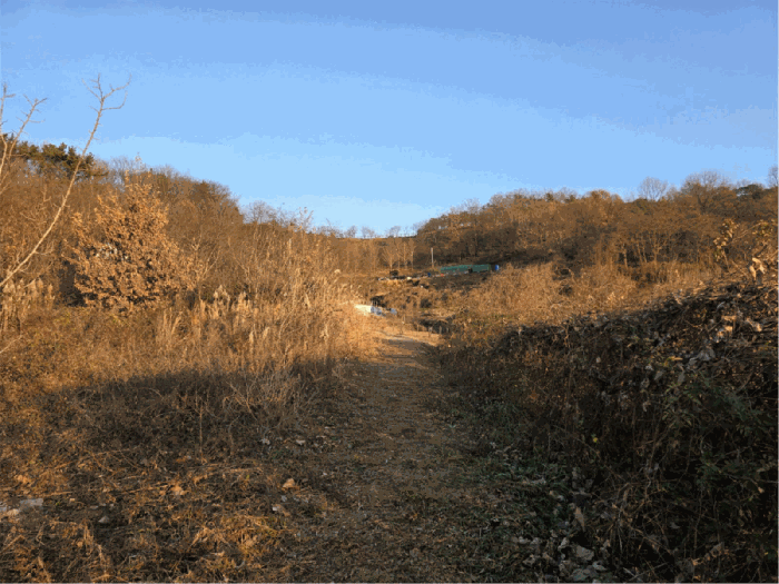 일련번호 3)