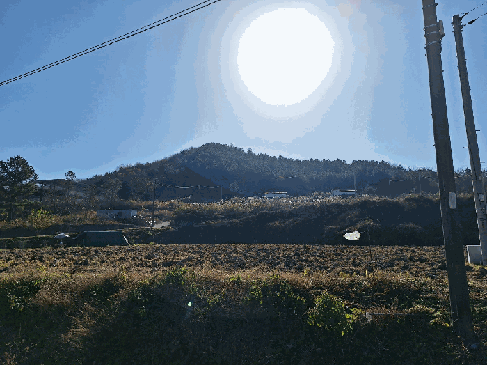 2025타경34436[5]