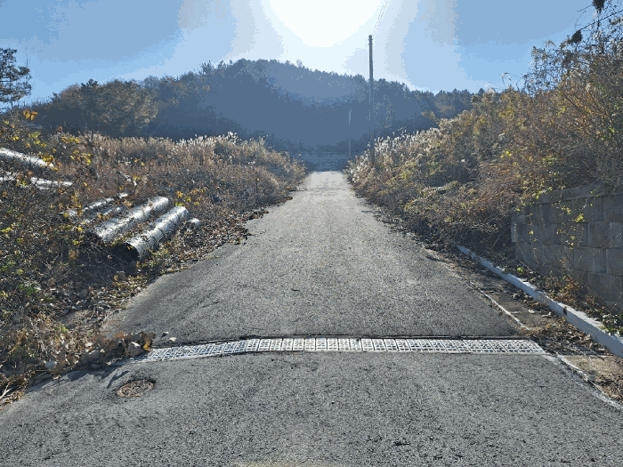 2025타경34436[5]