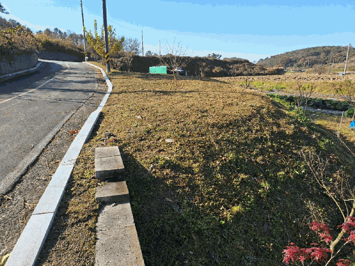 2025타경34436[5]