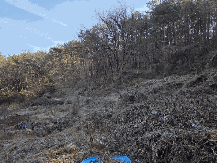 1. 일련번호 (1) 전경