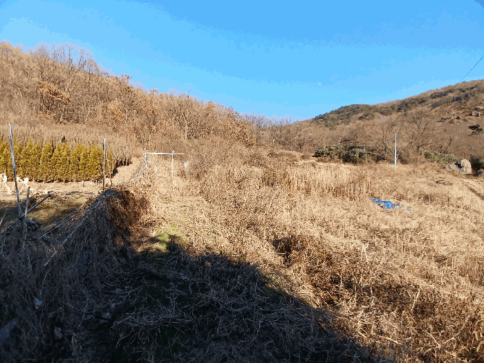 일련번호 3)