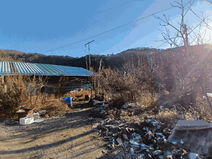 일련번호 5) 지상수목