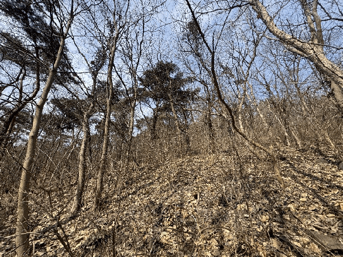 일련번호 1)