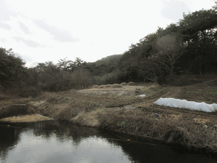 일련번호 1)