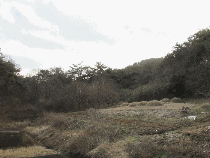 일련번호 1)